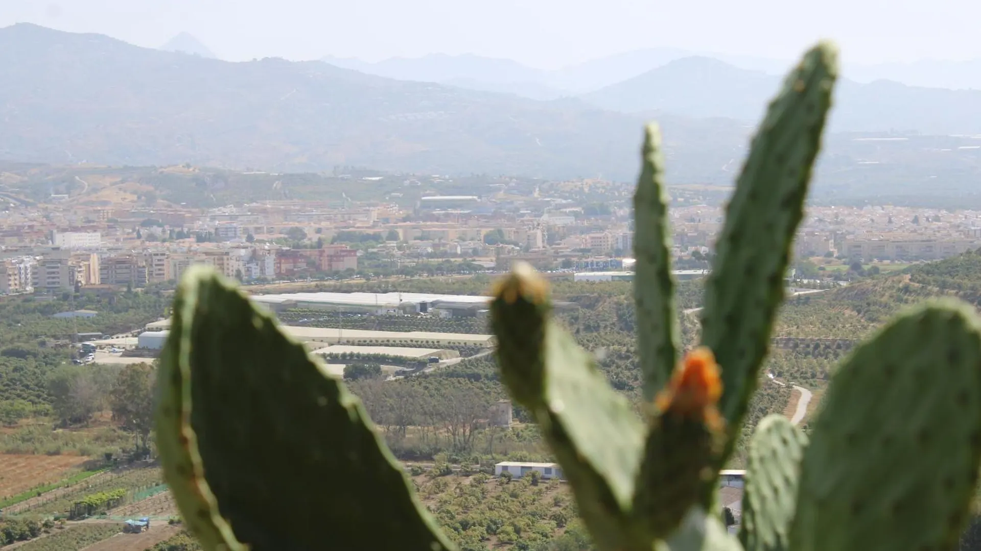 Holiday home Casa Rural Bellavista Velez Malaga