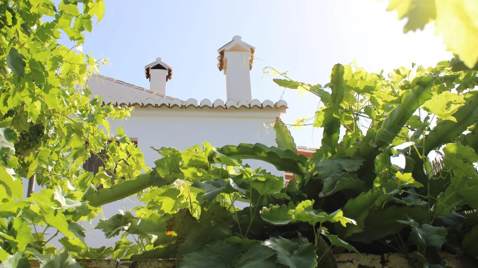 Casa Rural Bellavista Velez Malaga Spain